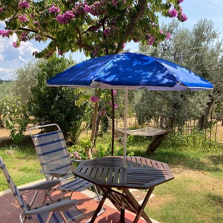 Casa Sisu-Appartamento Immerso Negli Ulivi Sant'Elia Fiumerapido Bagian luar foto