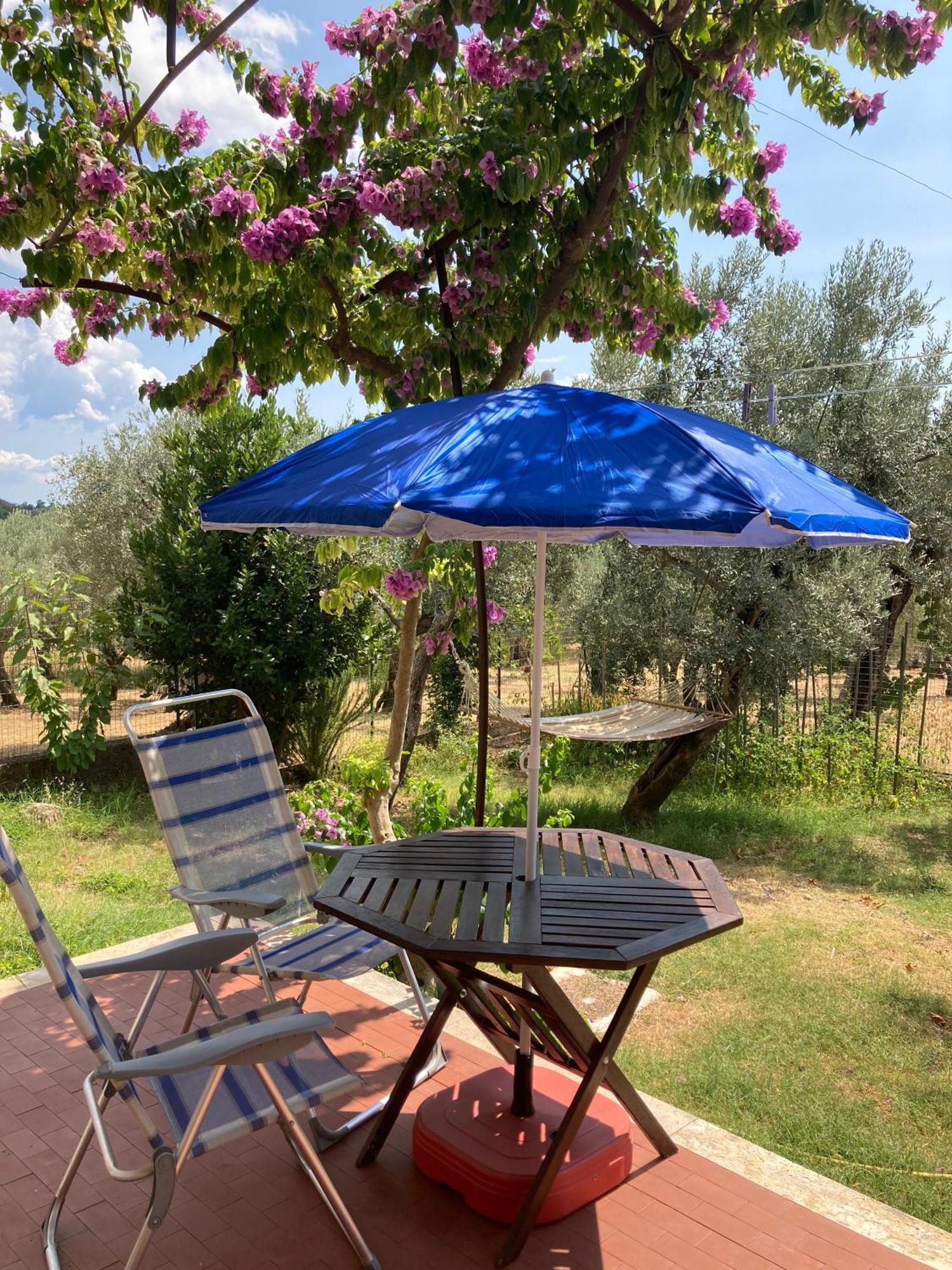 Casa Sisu-Appartamento Immerso Negli Ulivi Sant'Elia Fiumerapido Bagian luar foto