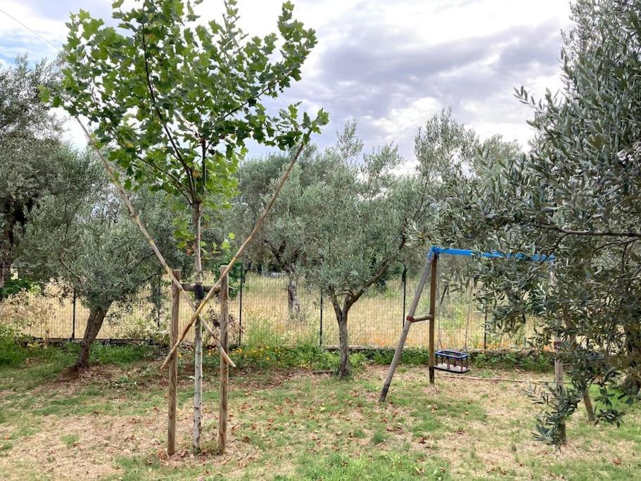 Casa Sisu-Appartamento Immerso Negli Ulivi Sant'Elia Fiumerapido Bagian luar foto