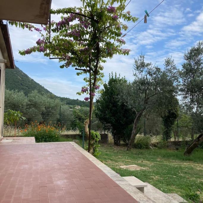 Casa Sisu-Appartamento Immerso Negli Ulivi Sant'Elia Fiumerapido Bagian luar foto