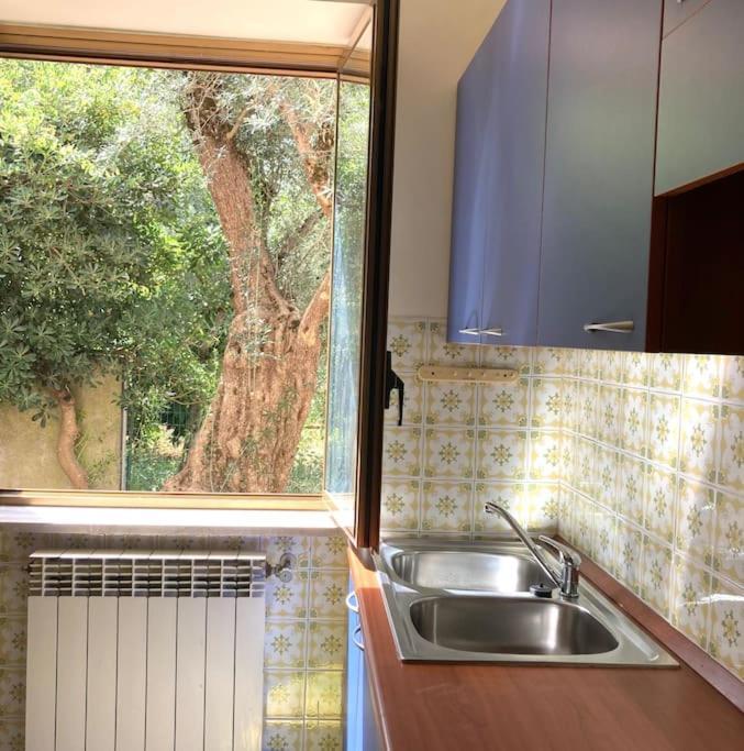 Casa Sisu-Appartamento Immerso Negli Ulivi Sant'Elia Fiumerapido Bagian luar foto