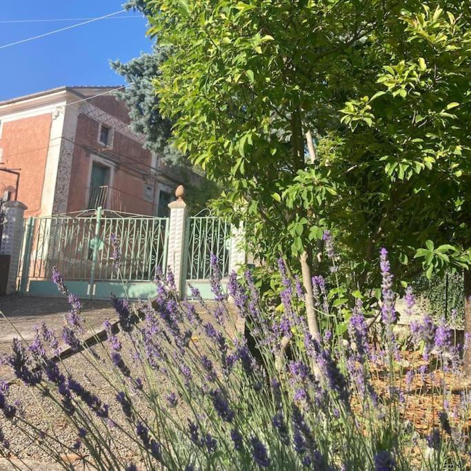 Casa Sisu-Appartamento Immerso Negli Ulivi Sant'Elia Fiumerapido Bagian luar foto