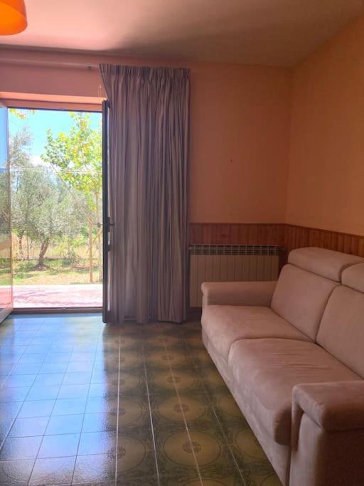 Casa Sisu-Appartamento Immerso Negli Ulivi Sant'Elia Fiumerapido Bagian luar foto